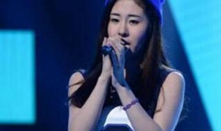 怎样中国好声音 怎样中国好声音
