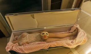 女性机器人价格多少 女性机器人价格多少