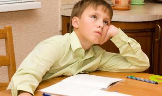 想学小提琴网课 想学小提琴网课