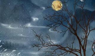 星光杳杳不如你 星光杳杳不如你