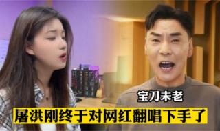 中国功夫屠洪刚 中国功夫屠洪刚