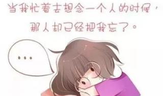 是我太过于爱你 是我太过于爱你