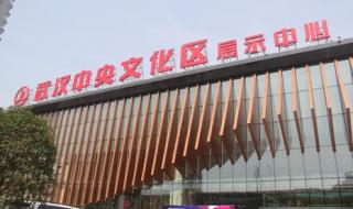 武汉中央文化区 武汉中央文化区
