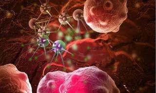 细胞激活素 细胞激活素