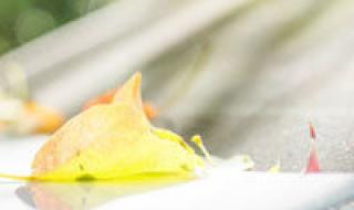 qq情侣签名一男一女 qq情侣签名一男一女