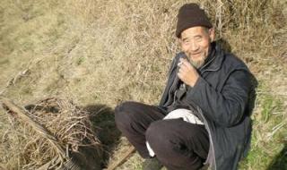 为你留下最后一滴泪 为你留下最后一滴泪