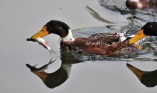 996手游论坛 996手游论坛