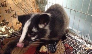 漳州动物园 漳州动物园