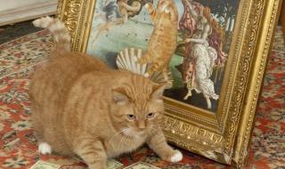 全世界你最懂我 全世界你最懂我