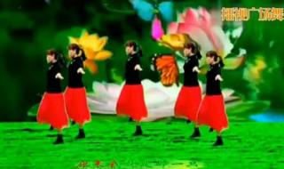 广场舞酒醉的蝴蝶32步 广场舞酒醉的蝴蝶32步