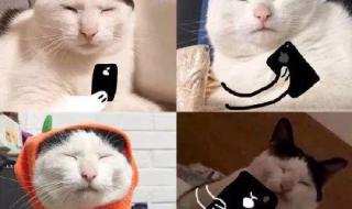 抖音点赞赚钱是真的吗 抖音点赞赚钱是真的吗