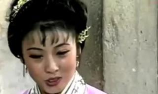 黄梅戏天仙配韩再芬 黄梅戏天仙配韩再芬