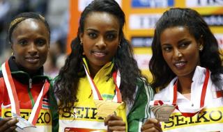 2014奥运会奖牌榜统计表 2014奥运会奖牌榜统计表